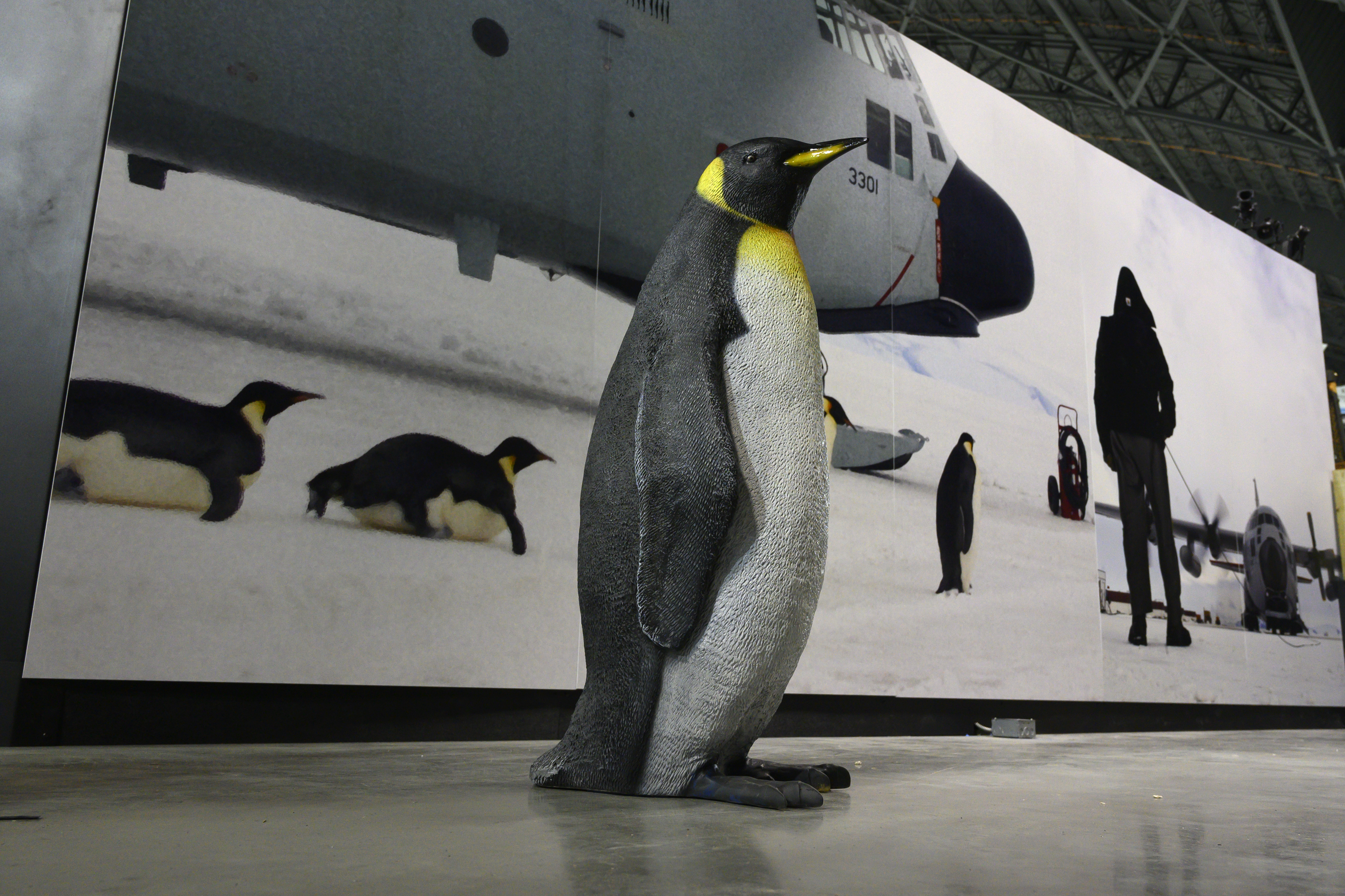 A penguin statue represents one of the many Humanitarian missions conducted by the Department of the Air Force A penguin statue represents one of the many Humanitarian missions conducted by the Department of the Air Force