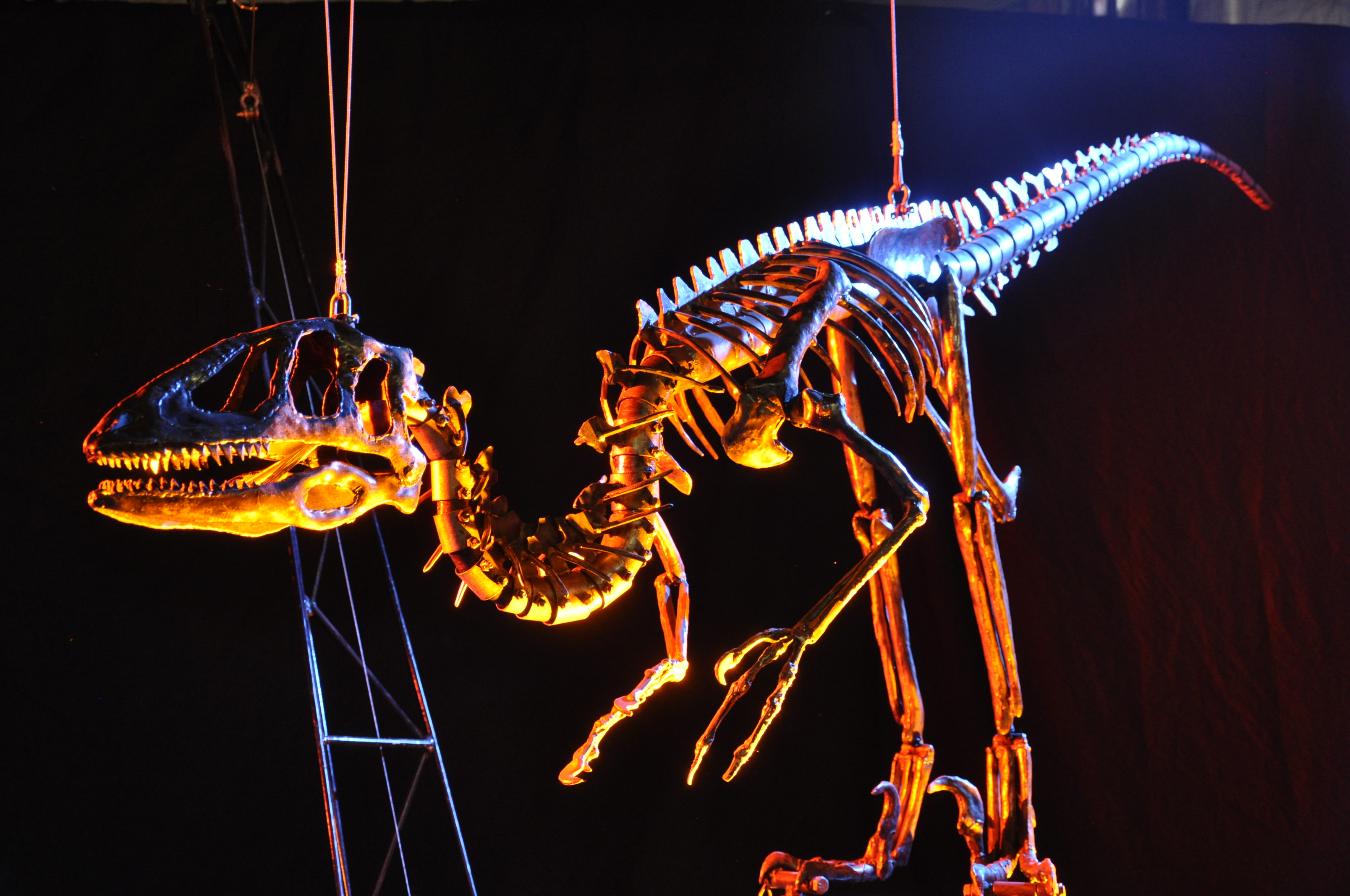Image of a life-sized metal dinosaur skeleton, hanging from cables with a black backdrop behind it.